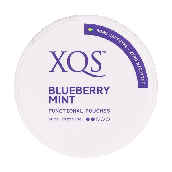 BUY 1 GET 1 FREE | Blueberry Mint Nicotine Pouches by XQSVAPE INDIA - Vape India