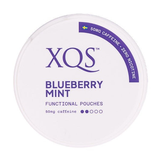 BUY 1 GET 1 FREE | Blueberry Mint Nicotine Pouches by XQSVAPE INDIA - Vape India