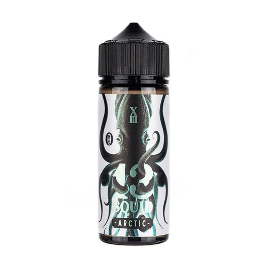 BUY 1 GET 1 FREE | Arctic 100ml Shortfill E-Liquid by 13 SquidVAPE INDIA