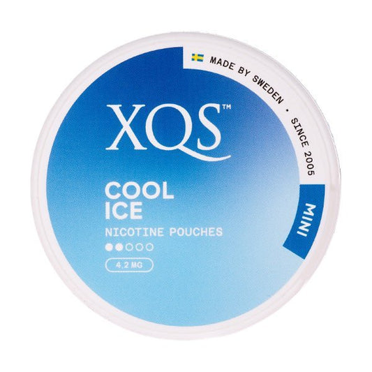 BUY 1 GET 1 FREE | Cool Ice Nicotine Pouches by XQSVAPE INDIA - Vape India